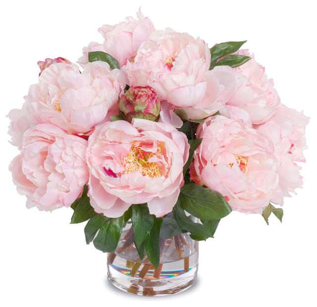 Luxury Peonies  - Peonies arranged together in a glass vase.
