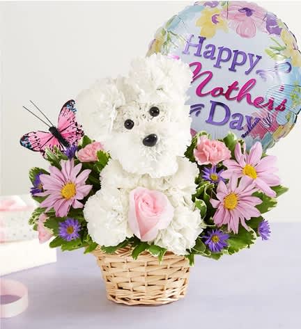 Precious Pup - Our truly original 3D pup is a precious Mother’s Day surprise. Crafted from white carnations, with sweet pink blooms all around, this canine creation is designed in a dog bed basket. For more happy wishes, add our festive “Happy Mother’s Day” balloon.