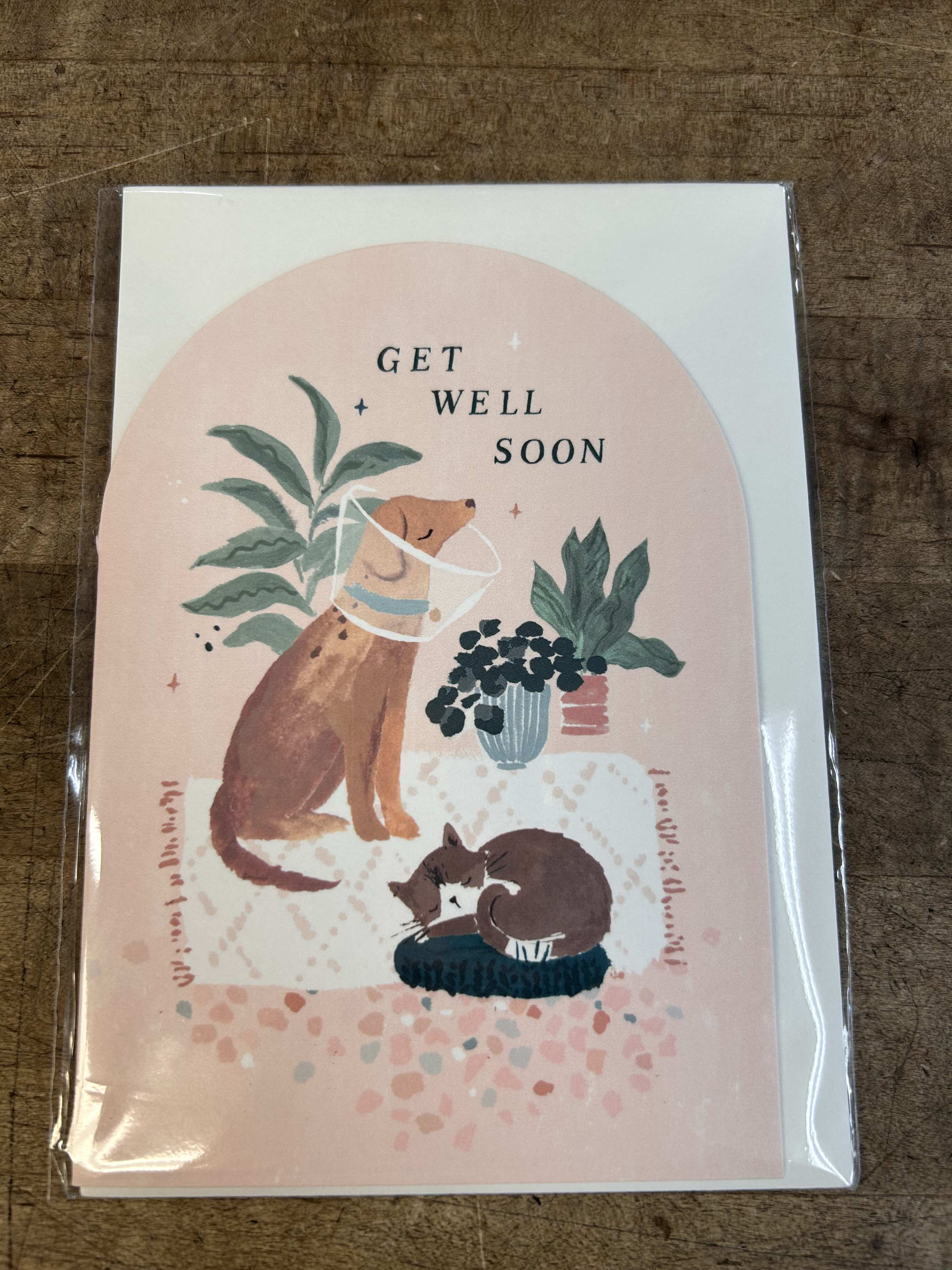 Get well soon card with illustrated dog in cone, sleeping cat, and houseplants on a peach background