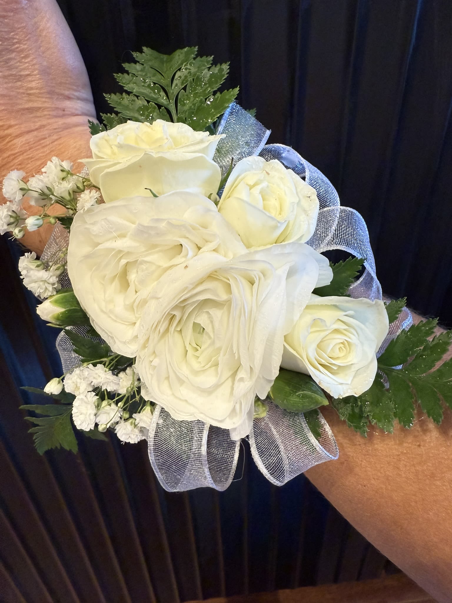 White rose and ranunculus wrist corsage with baby's breath and sheer ribbon.