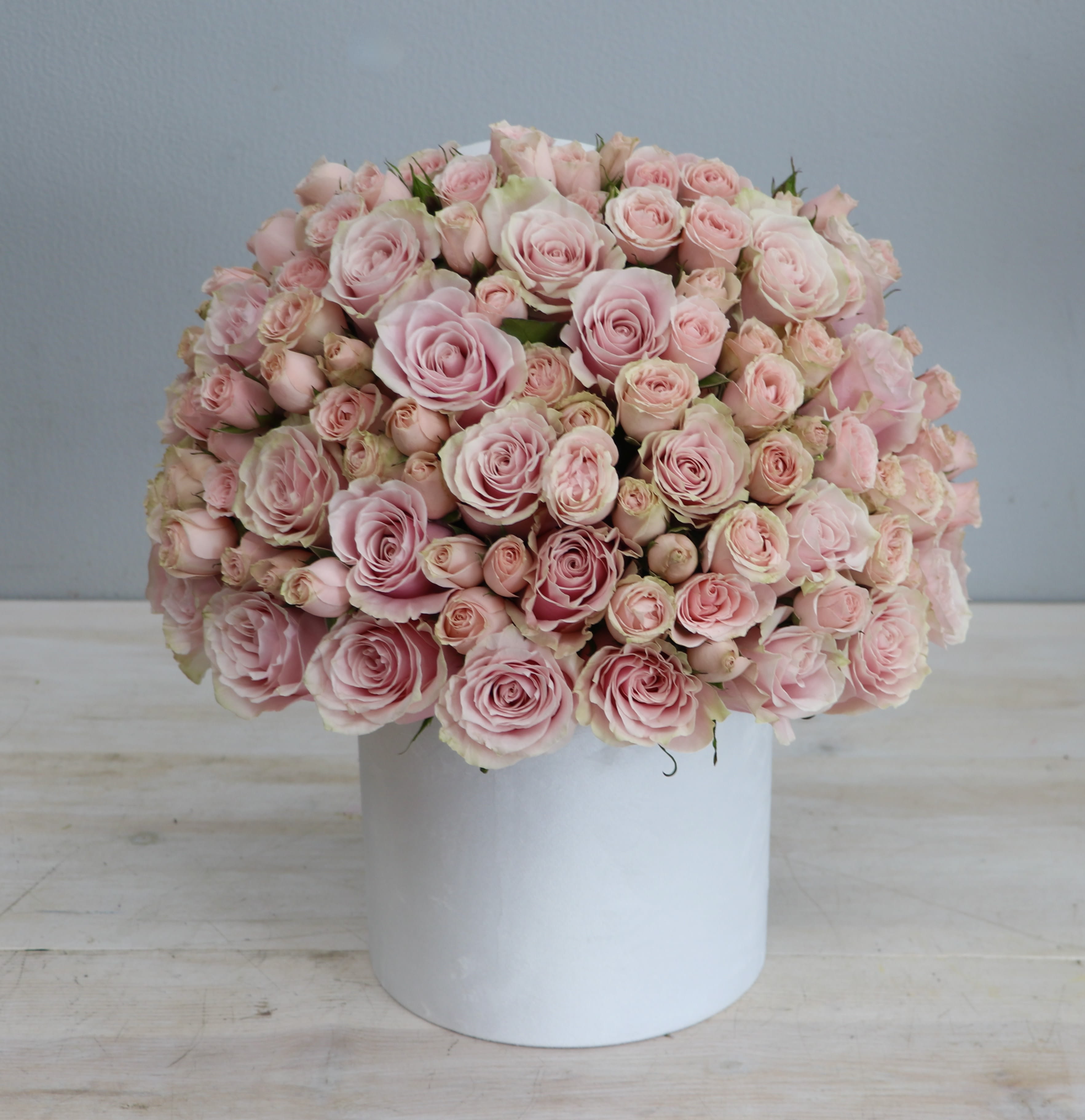 Dome of light pink roses arranged tightly in a white cylindrical box container.
