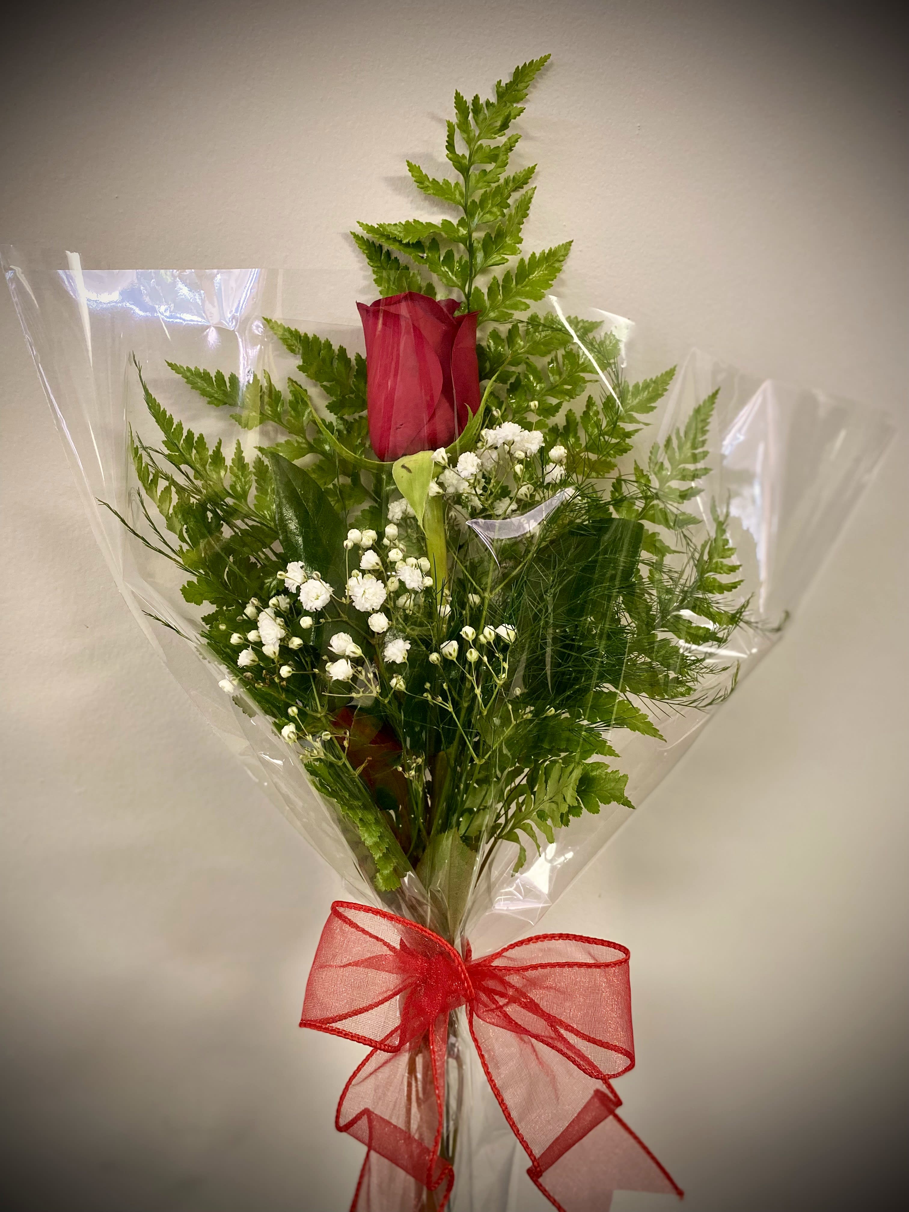 Single red rose with baby's breath and ferns wrapped in clear cellophane with a red bow