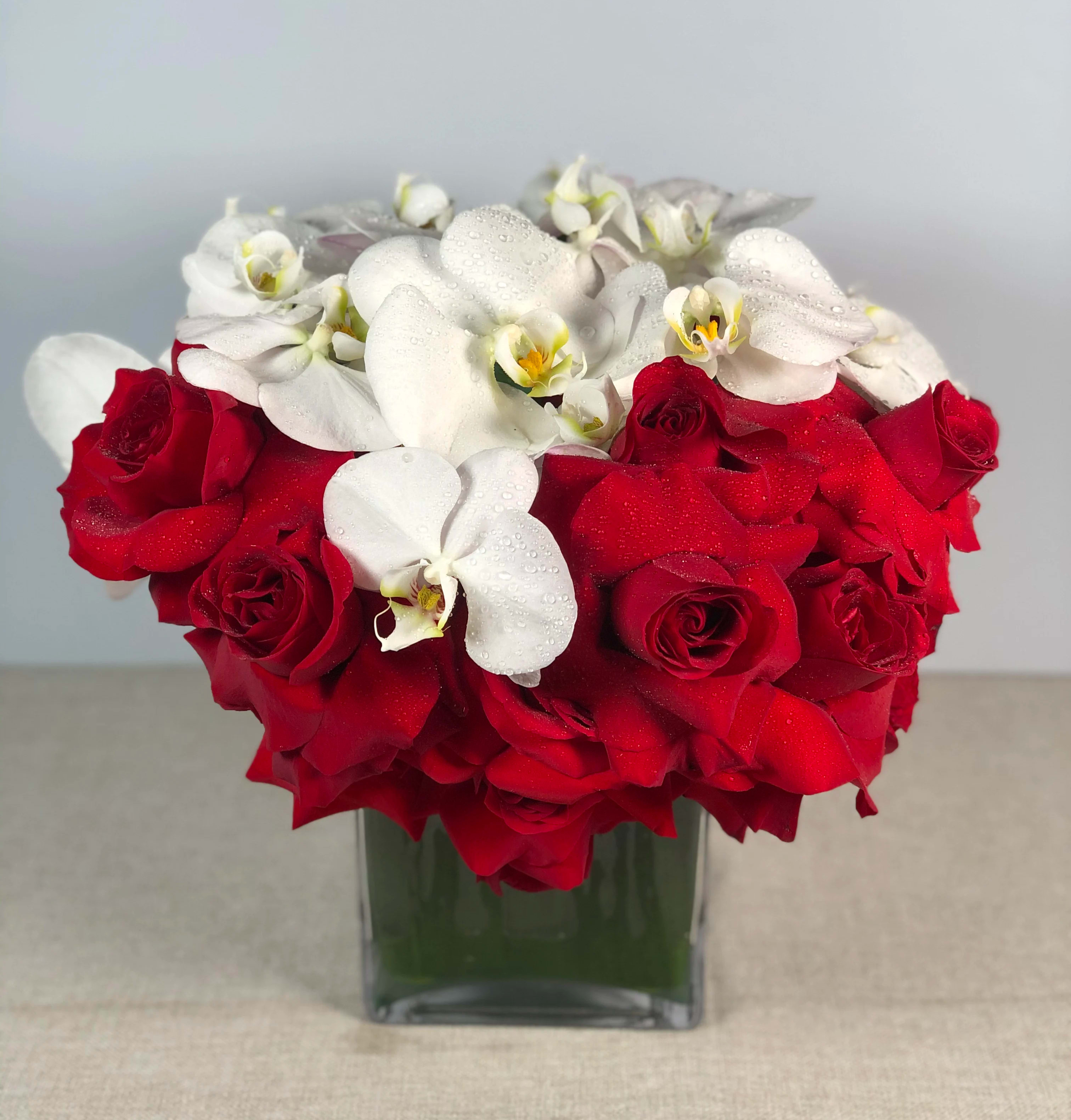 Falling For You - Ultra chic and modern, this romantic arrangement features bright red Roses and white Phalaenopsis Orchids in a simple glass vase lined with Aspidistra leaves