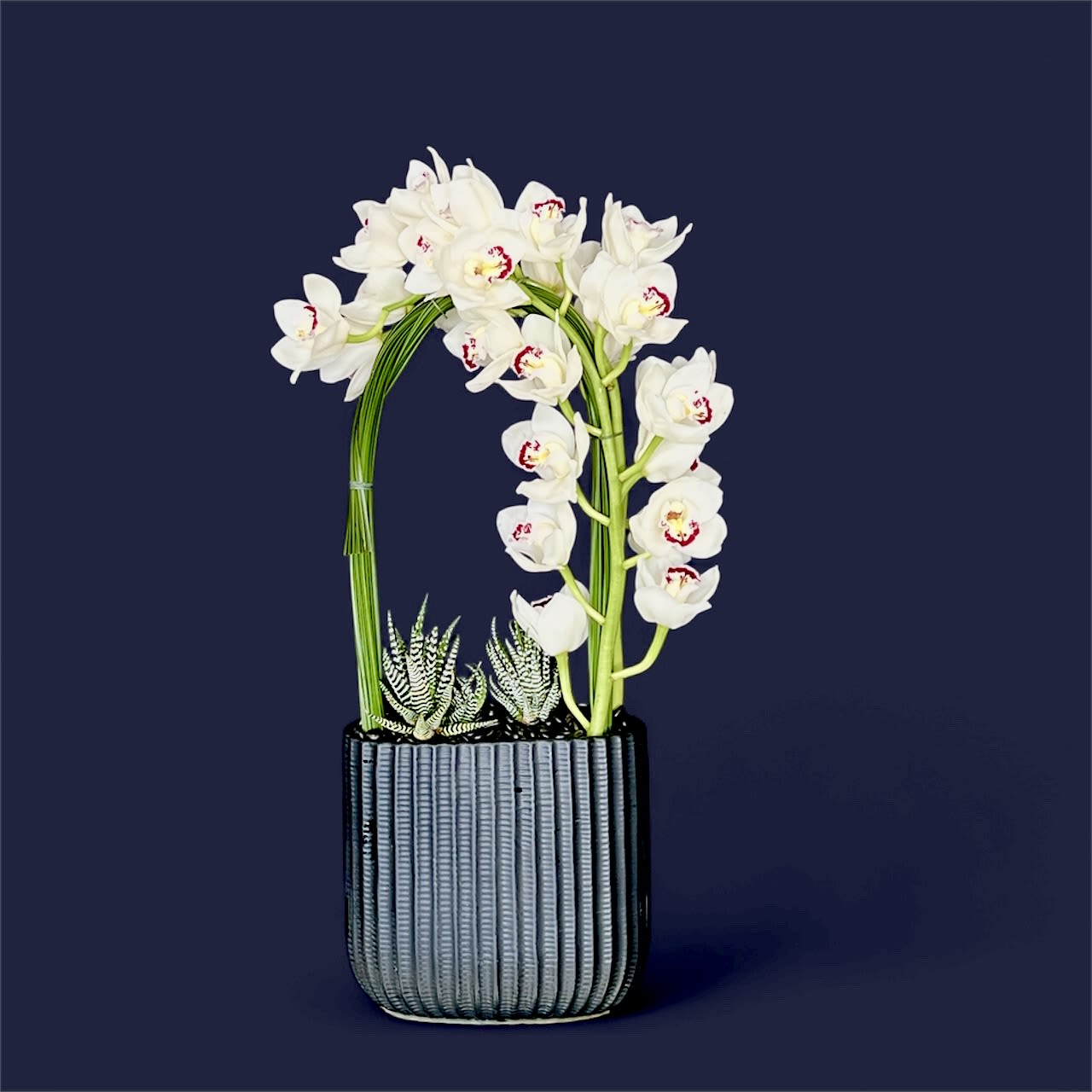 Orchid Arch  - This eye-catching modern design features an arch of Cymbidium Orchids and Flexi Grass, extending over a pair of Succulents