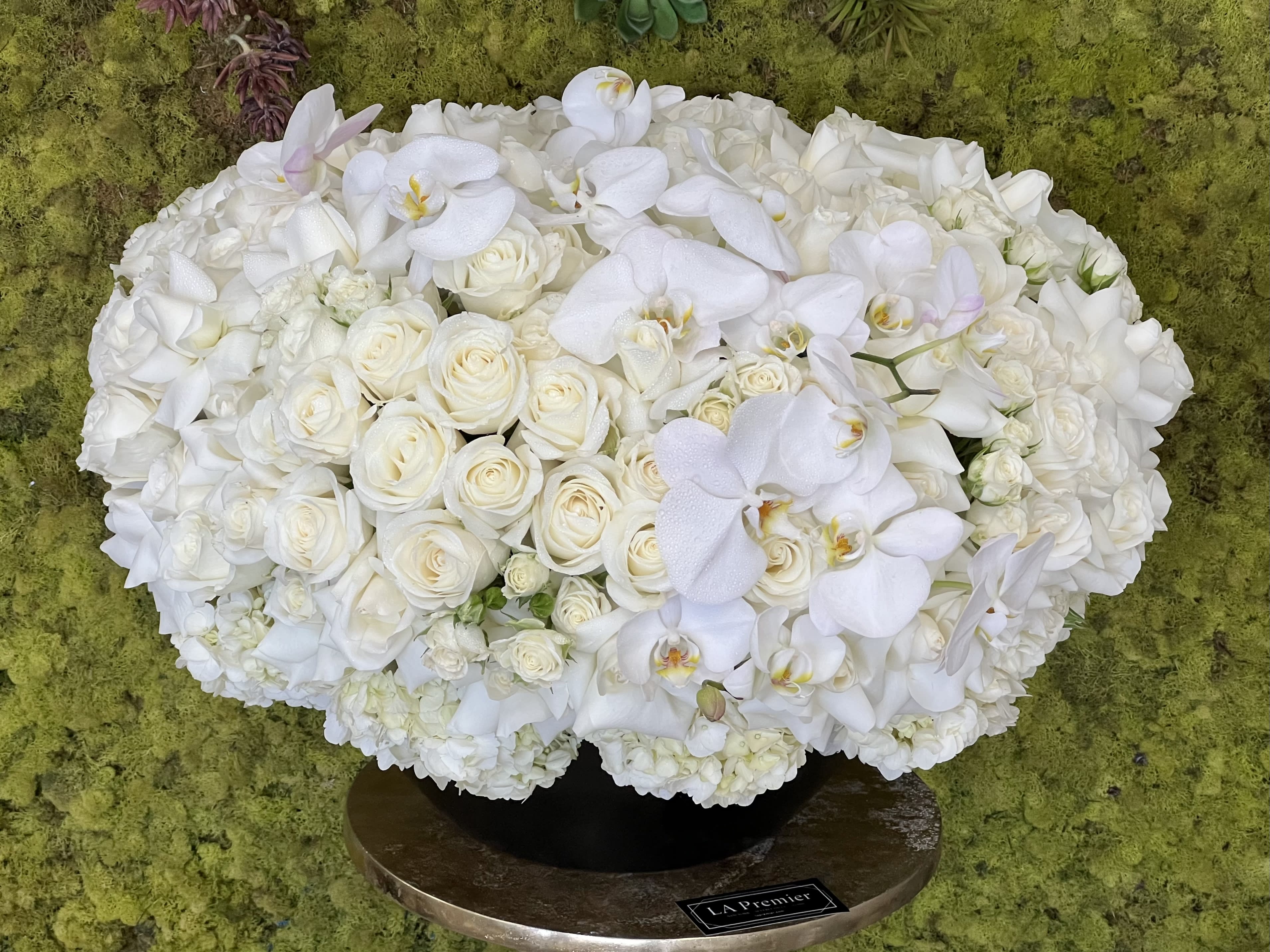 Royal White - This elegant ceramic vase arrangement makes the perfect centerpiece! Featuring white Hydrangea and Roses, crowned with white Phalaenopsis Orchids
