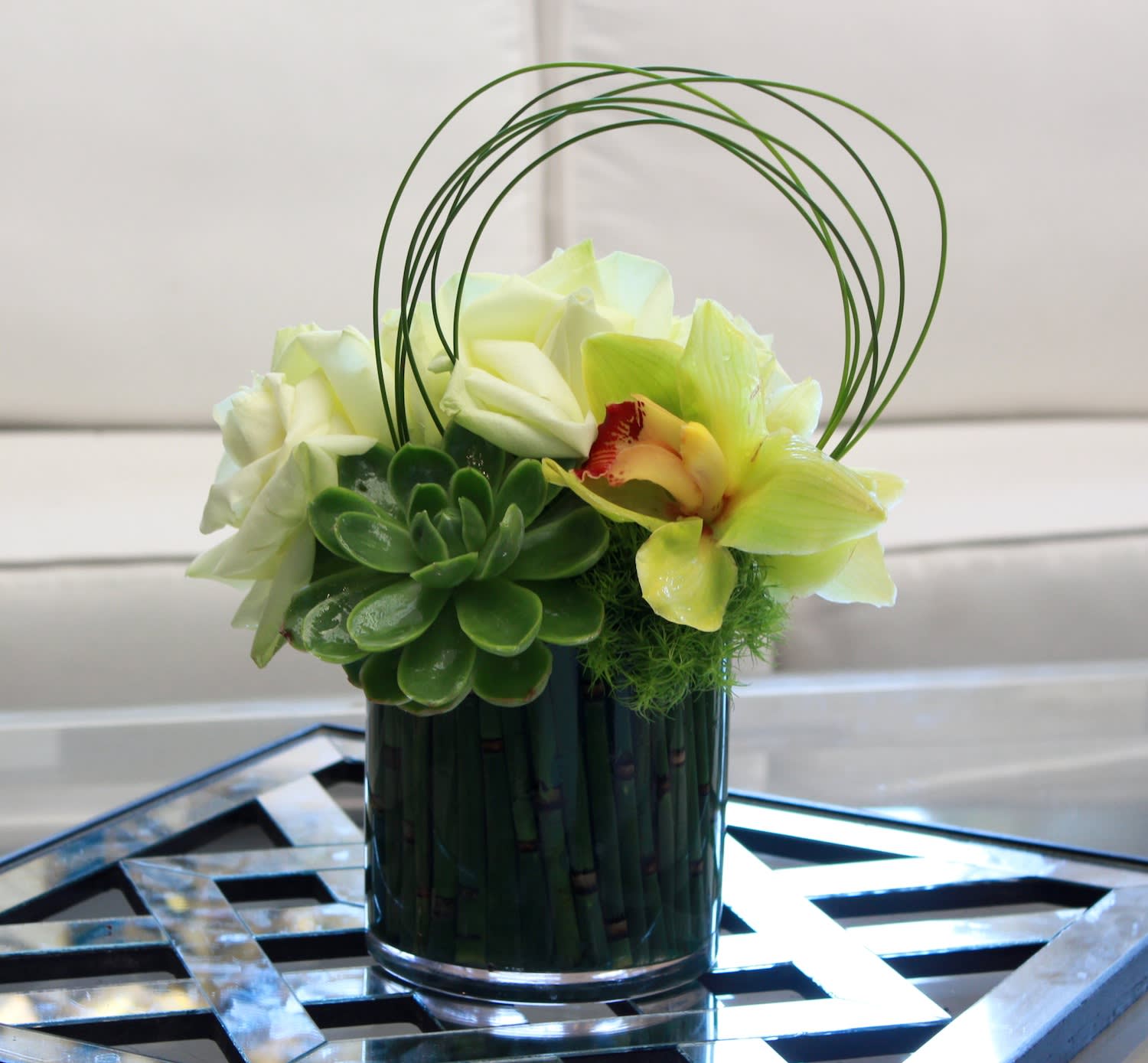 Swooping Succulent - This cute desk-sized arrangement features white Roses and a green Cymbidium Orchid in a glass vase, with a Succulent accent and decorative Moss