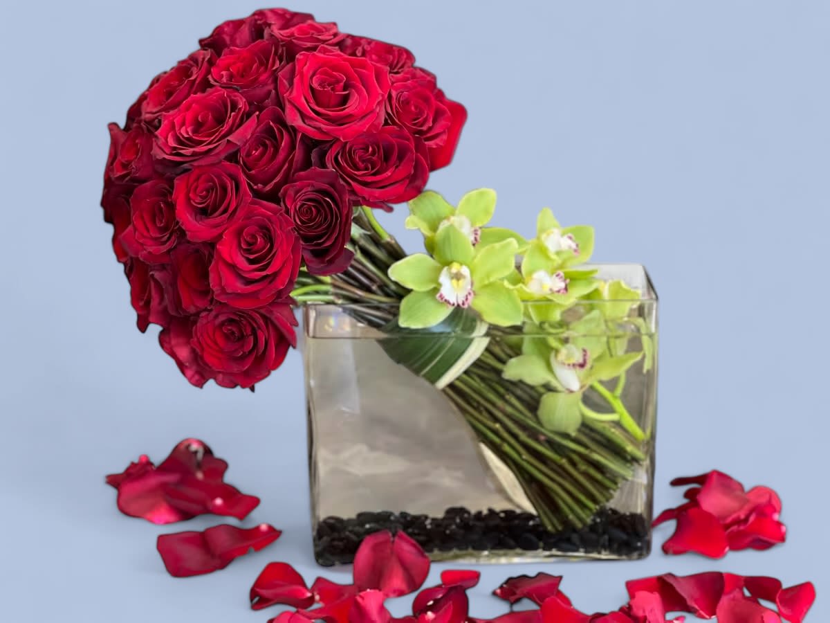 Endless Love - A combination of bright red Roses and green Cymbidium Orchids in a modern style vase