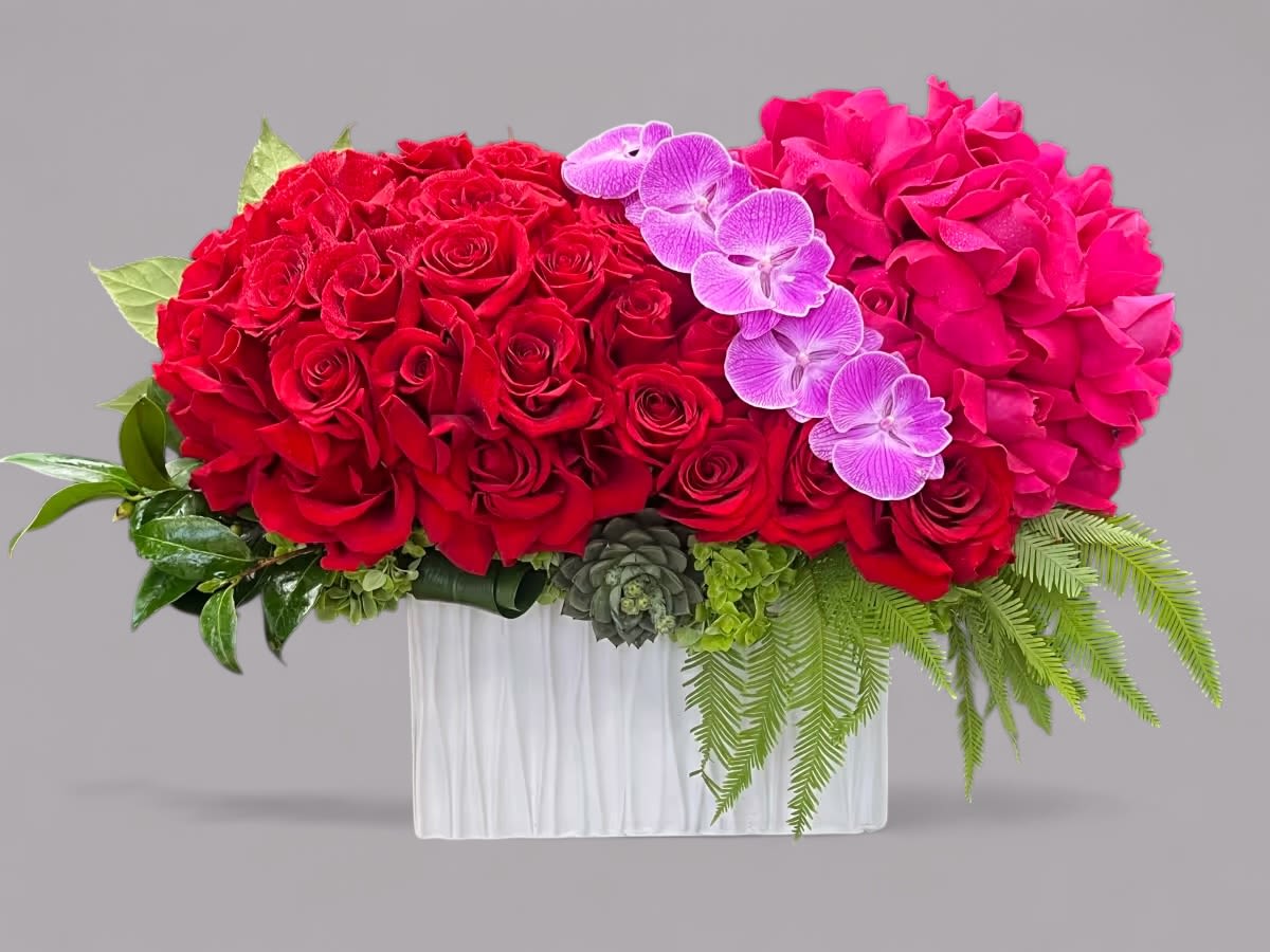 Date Nite - Red Roses and reflexed hot pink Roses are accented by a sash of purple Phalaenopsis Orchids, all set atop a lush bed of greenery in a white ceramic vase