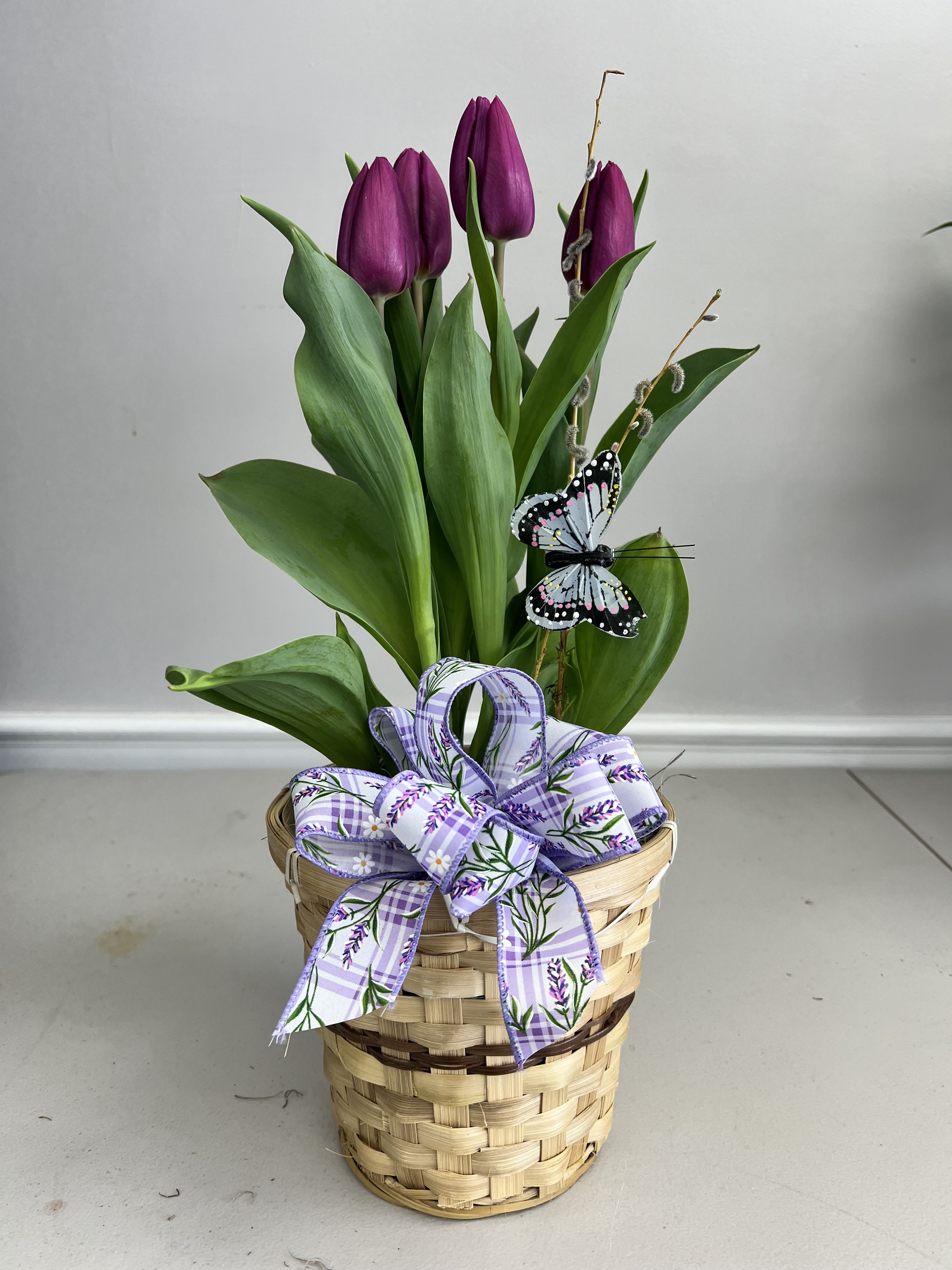 Bulb Basket - Bring the beauty of spring to life with our Eastern Bulb Planting Basket, a charming blend of seasonal favorites designed to bloom and grow. This thoughtfully arranged basket features a mix of premium spring bulbs—such as tulips, daffodils, and hyacinths—nestled in a rustic container for a natural, garden-inspired look.