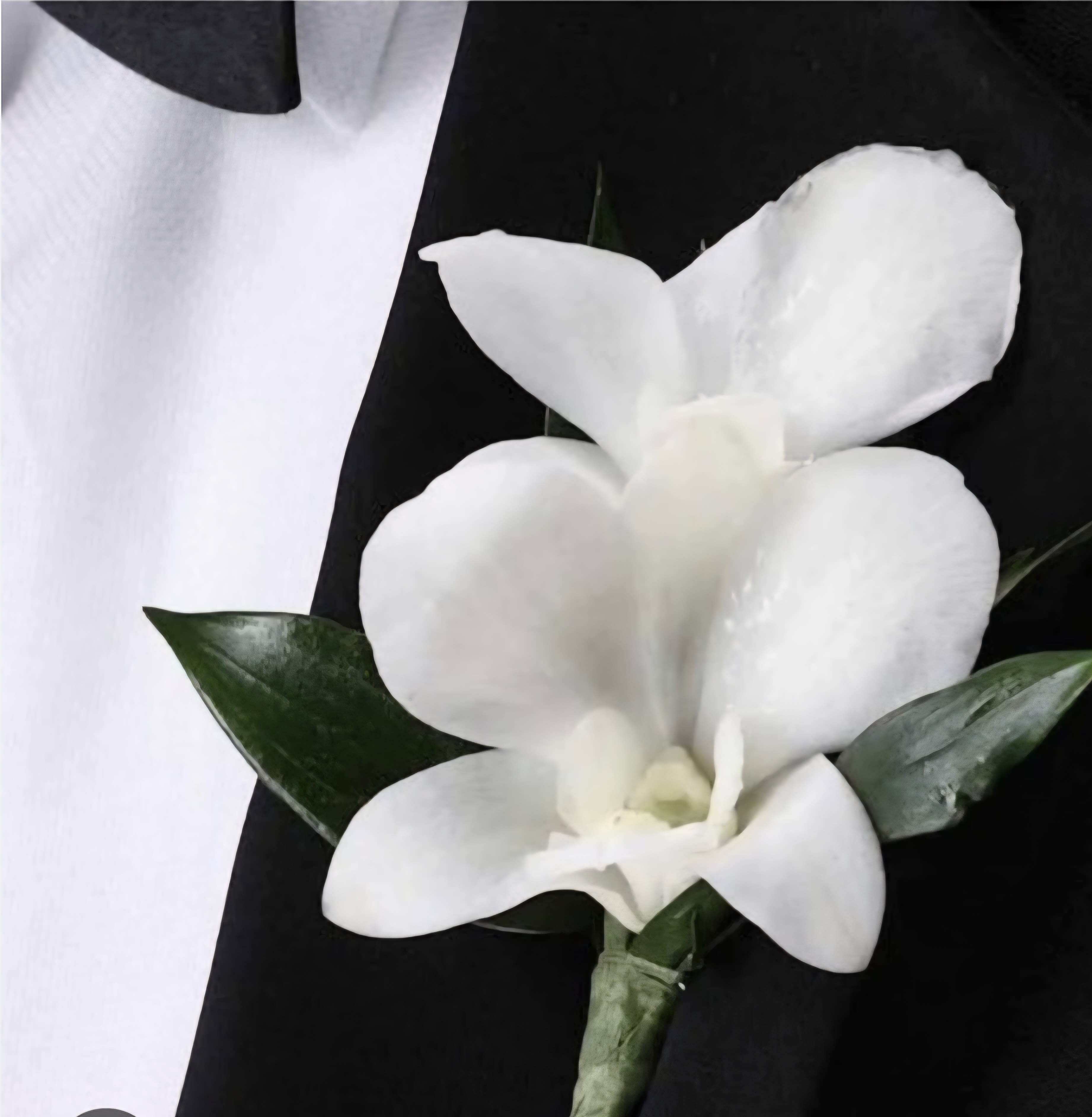 Prom boutonniere white dendrobium orchid - white dendrobium orchid bout
