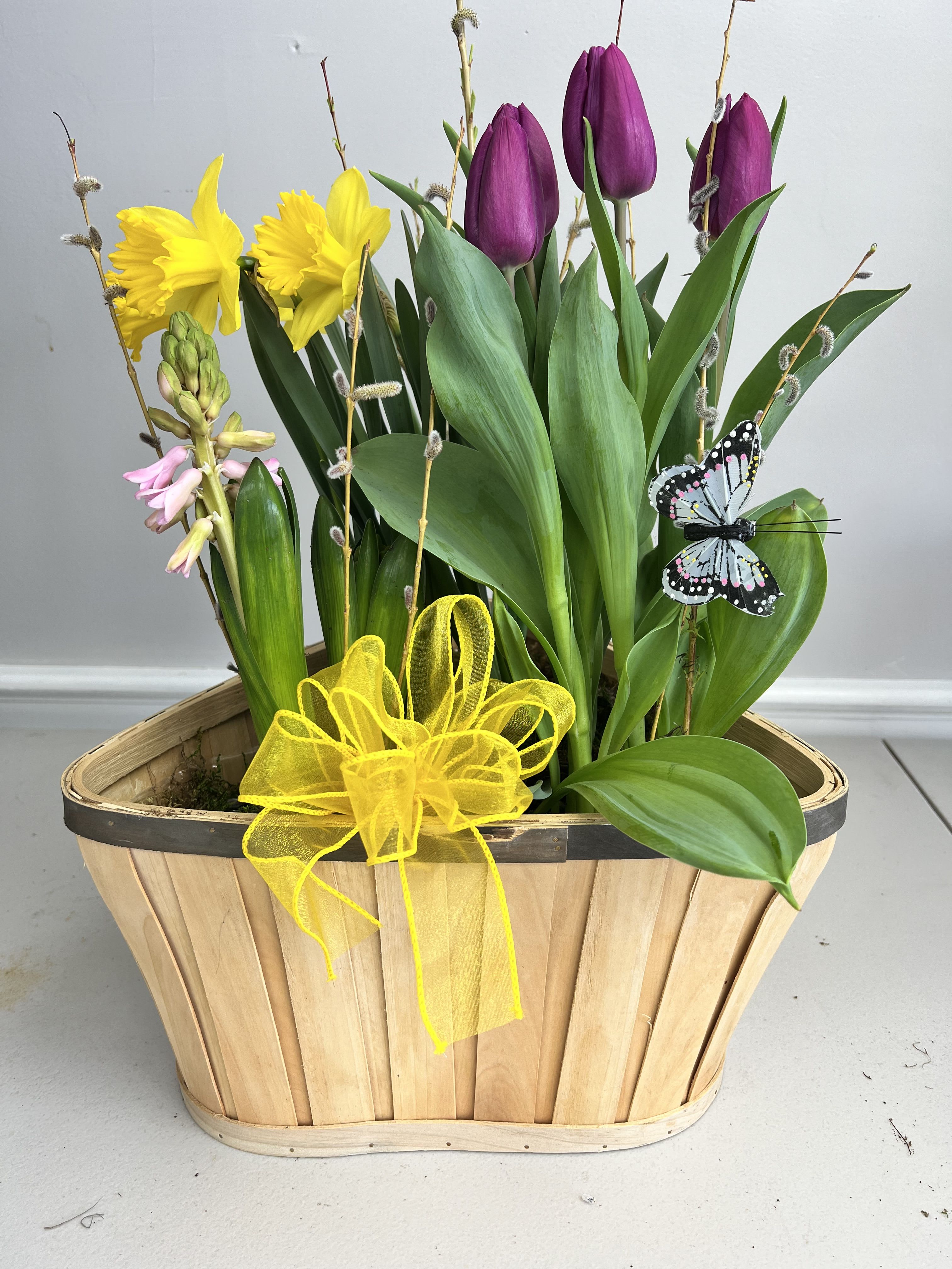 Spring Trio - Send a touch of spring with  mixed bulb basket that includes daffodil, Tulip and Hyacinth 