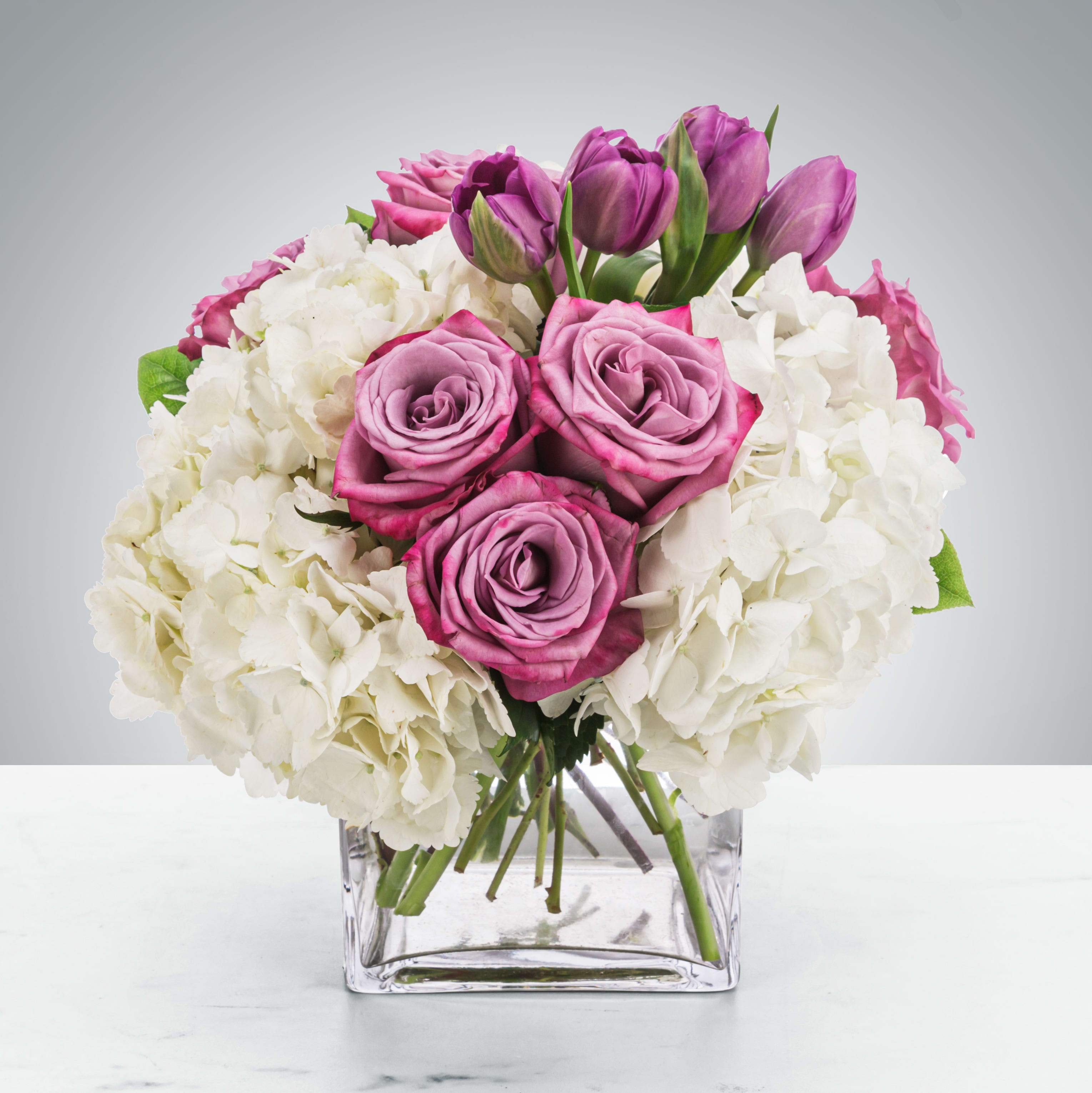 Lavender roses, purple tulips, and white hydrangeas arranged in a clear glass cube vase.