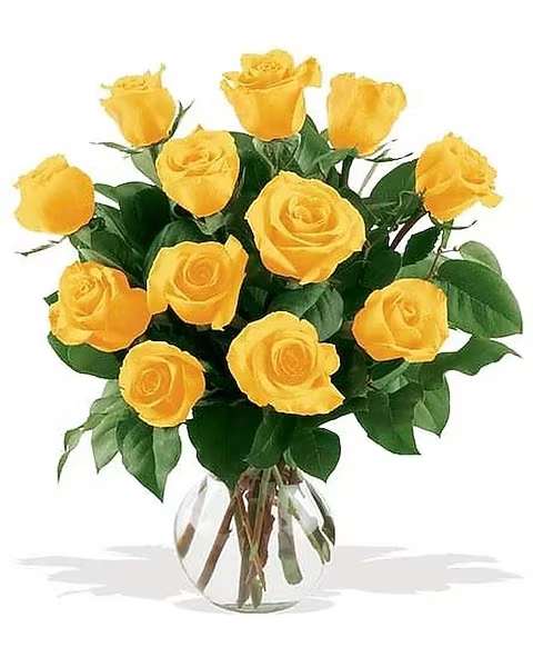 Dozen Yellow Roses - Sun-filled yellow roses represent friendship and joy. Send these bright, cheerful dozen to convey affection and to let someone know how much you value their friendship.  