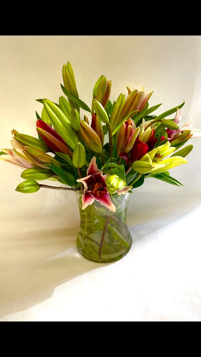 Glass vase of pink and red lilies with many green buds against a light background