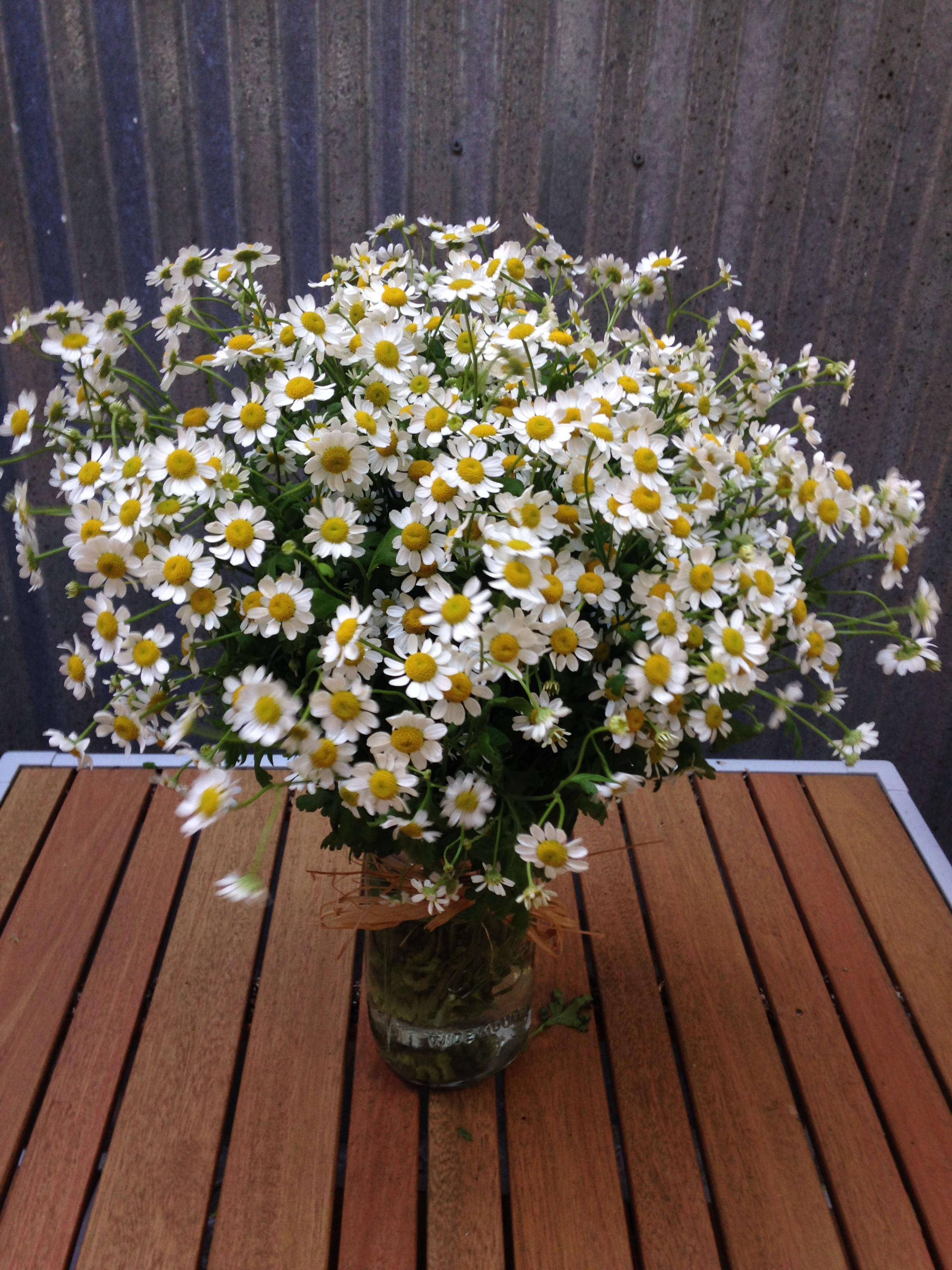 Loose bouquet of small white and yellow daisies arranged in a clear glass jar on a wooden table