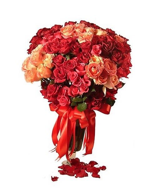 Old Hollywood - An abundance or Ecuadorian roses crunched together to create a dynamic effect. A minimum of 7day is required in advsnce to secure this item.