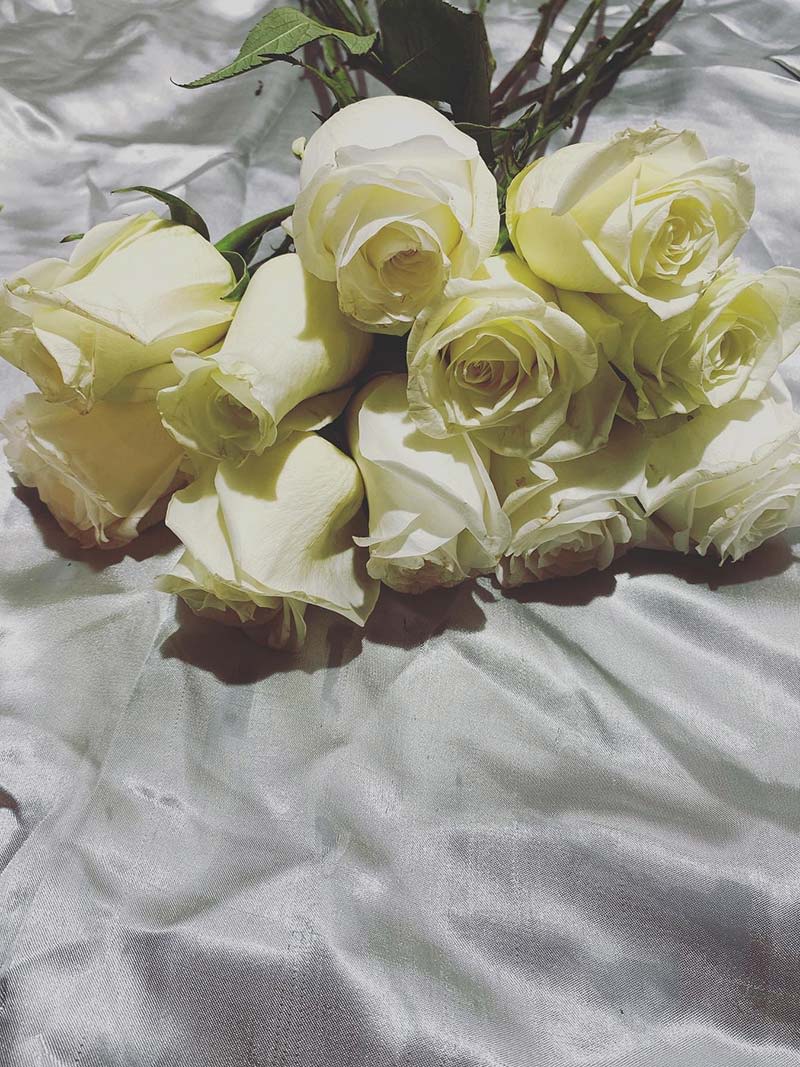 Designer Choice Or By The Dozen - Designer Choice Or By The Dozen Please specify your preferred color in the florist instruction box: Blue, Green, Pink, Purple, Red, Yellow, White, Mixed