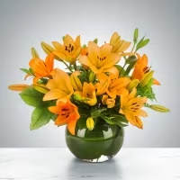 Modern Lily Bowl - A modern and eye-catching arrangement featuring vibrant orange Asiatic lilies, beautifully displayed in a clear glass bowl. The vase is artfully leaf-lined, adding a natural and polished touch that enhances the rich color of the blooms. This simple yet striking design brings warmth and elegance to any space.