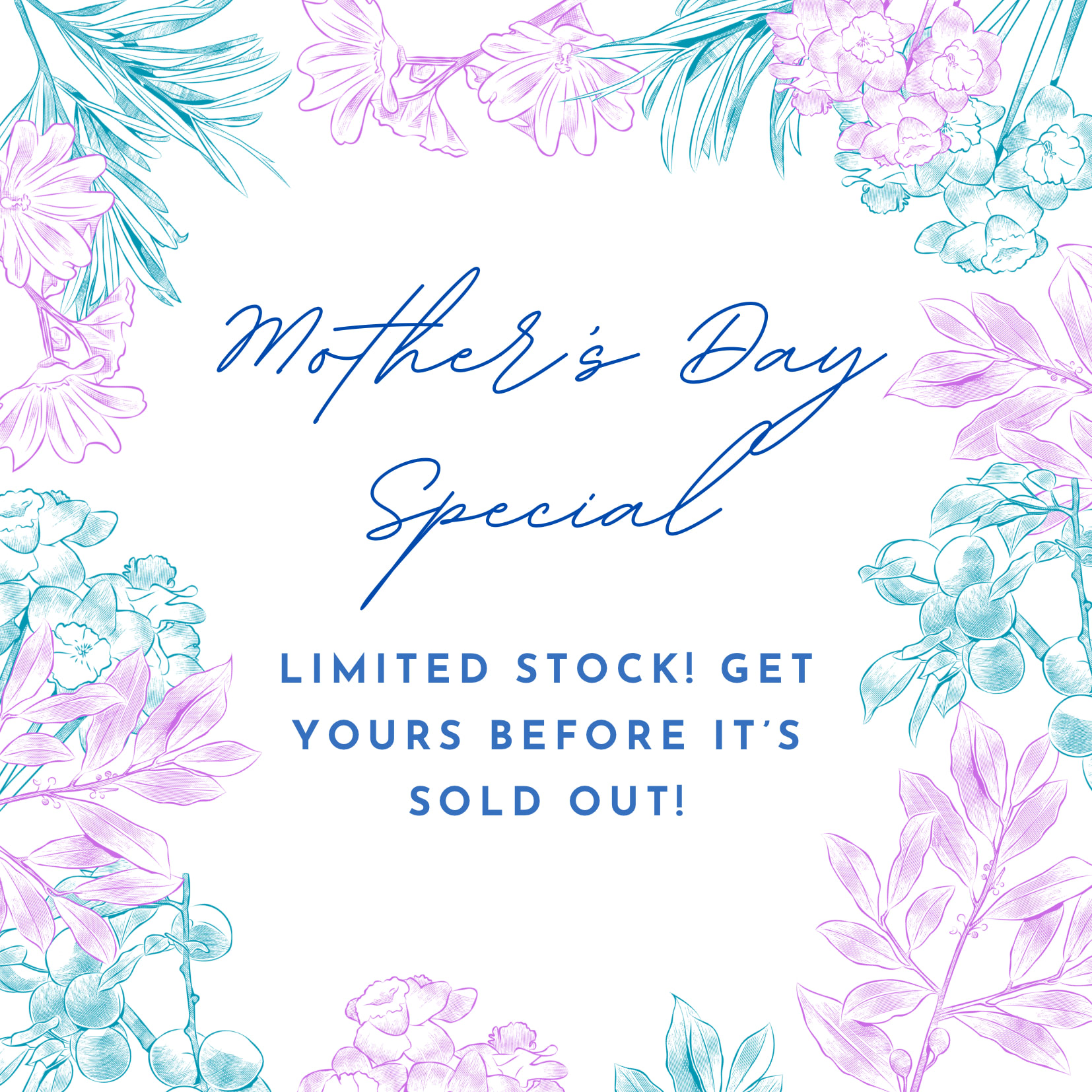 Dear Mama - For the first time, Florian is offering a Mother’s Day Pre-Order Special! Send mom this beautiful arrangement filled with soft pink gerbera daisies, blush carnations, and deep purple alstroemeria all nestled in a lilac or teal container. Limited stock!