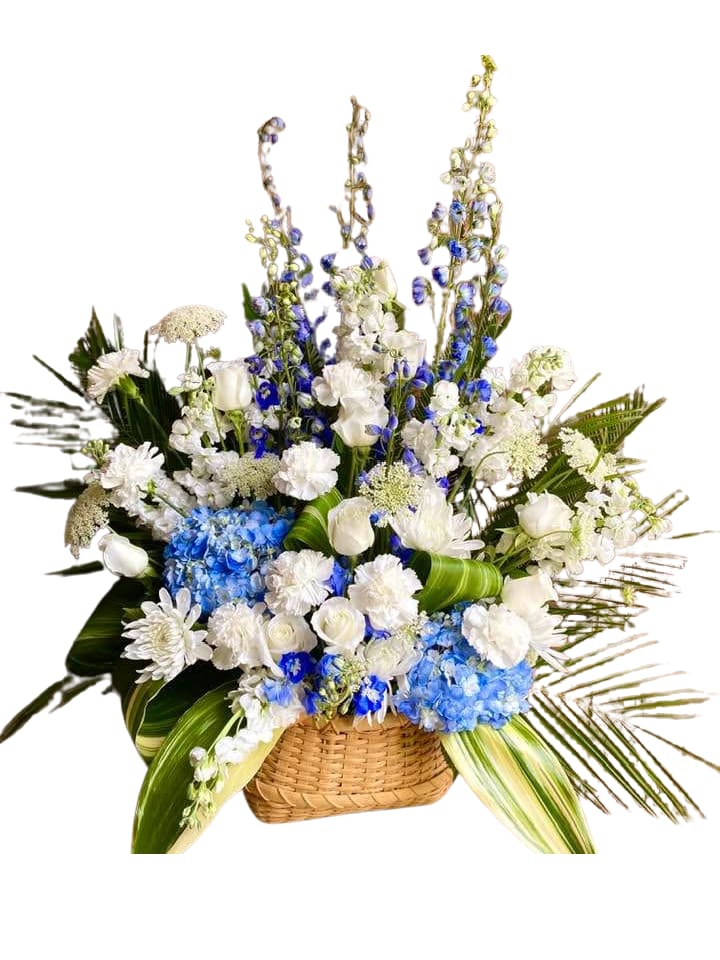Tranquil Waters Basket - A cool, dignified sympathy basket that speaks of quiet comfort: a fan-shaped arrangement of white and blue flowers gathered in a woven wicker basket. This sympathy arrangement (also suitable for memorial services, weddings, or christenings with a blue-and-white theme) presents a calm, formal silhouette designed to convey respect and gentle consolation to the person you're remembering.  Blue hydrangea clusters anchor the base, surrounded by creamy white roses and full white chrysanthemum-style blooms for soft, reassuring texture. Tall blue delphinium spikes rise through the center to add vertical emphasis, while broad striped leaves and airy green fronds extend outward for a wide, structured profile. The wicker basket gives the piece a warm, grounded frame that complements the cool palette and keeps the arrangement feeling both classic and approachable.  Perfect for sending as a thoughtful expression of sympathy or as an elegant focal piece for a service, this arrangement is meant to make the recipient feel seen and comforted. Delivered ready to display in its basket, it offers long-lasting blooms that hold their composed shape through viewing and remembrance.