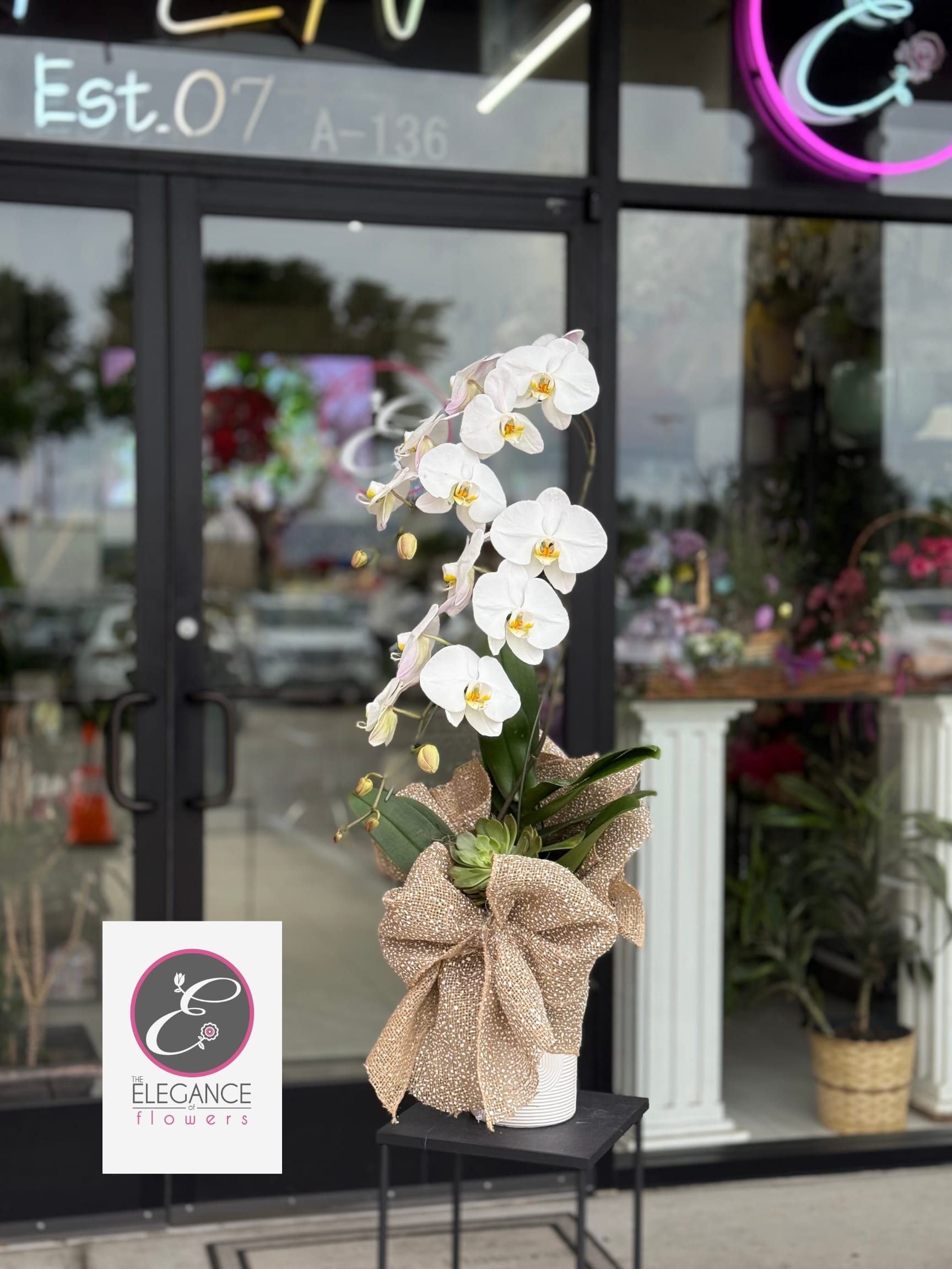 Orchid Arrangement #18 - N/A