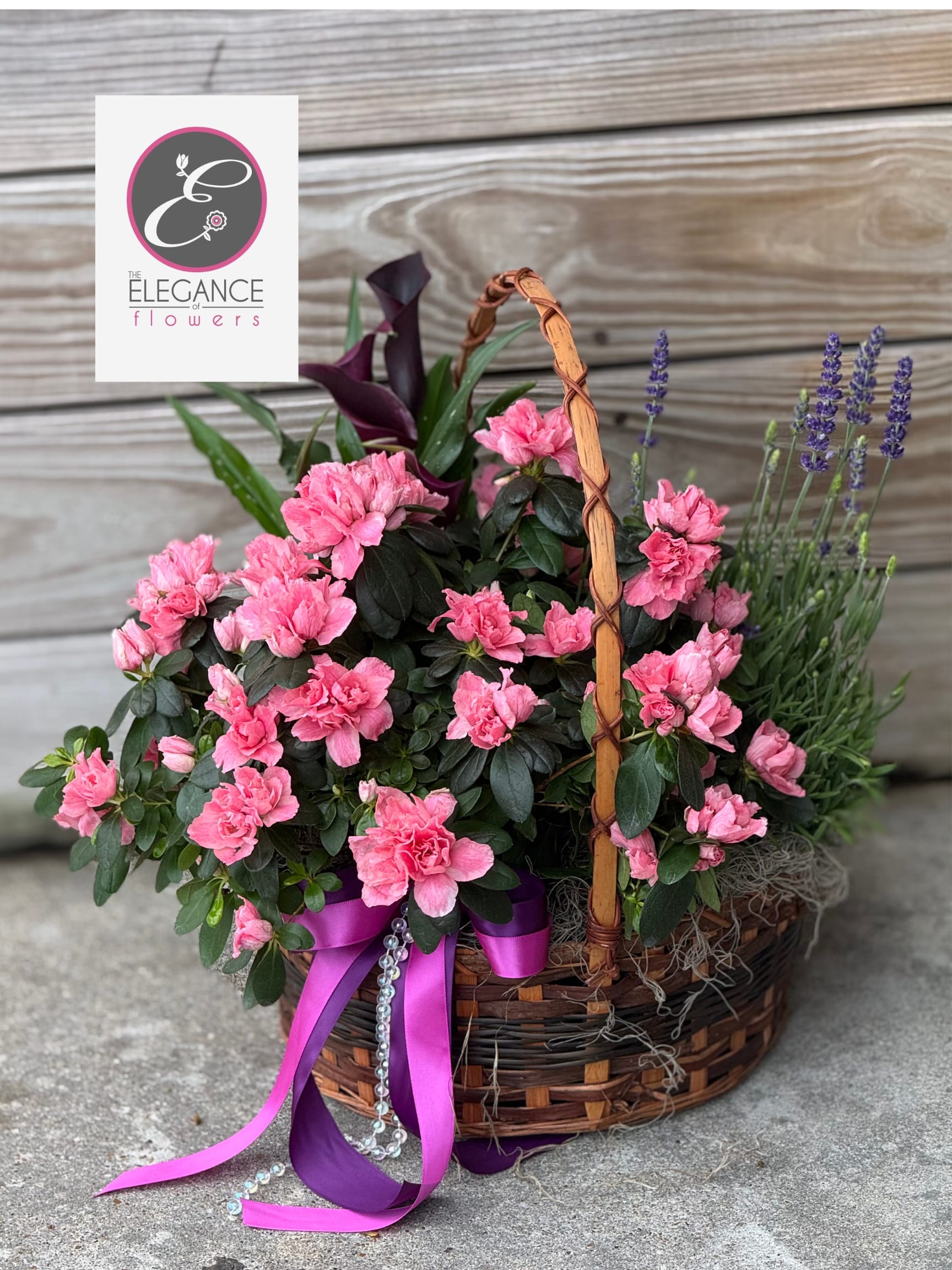 Plant Basket #1 - N/A