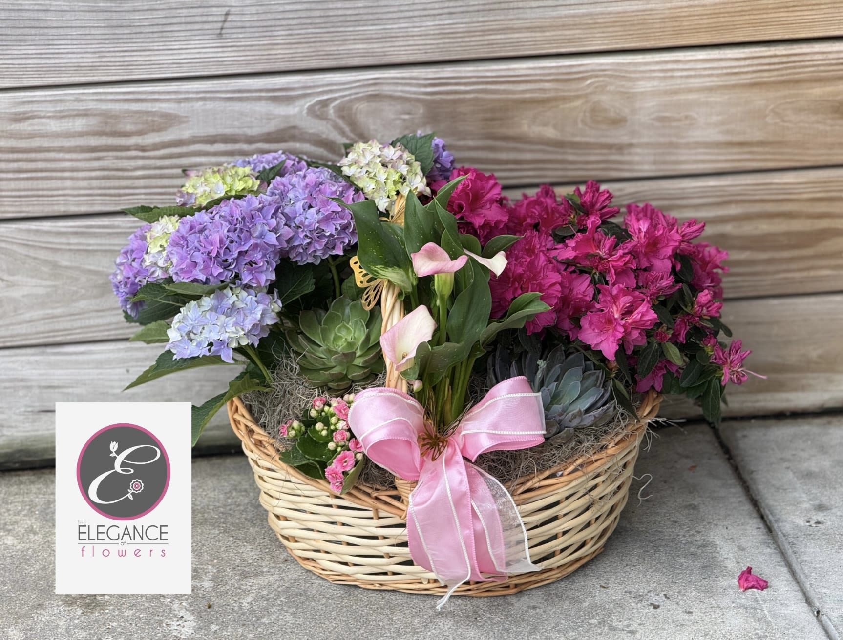 Plant Basket #3 - N/A