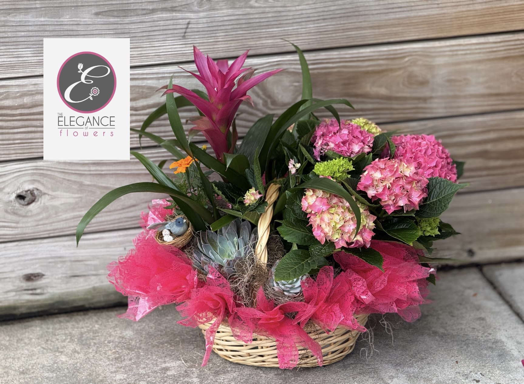 Plant Basket #2  - N/A