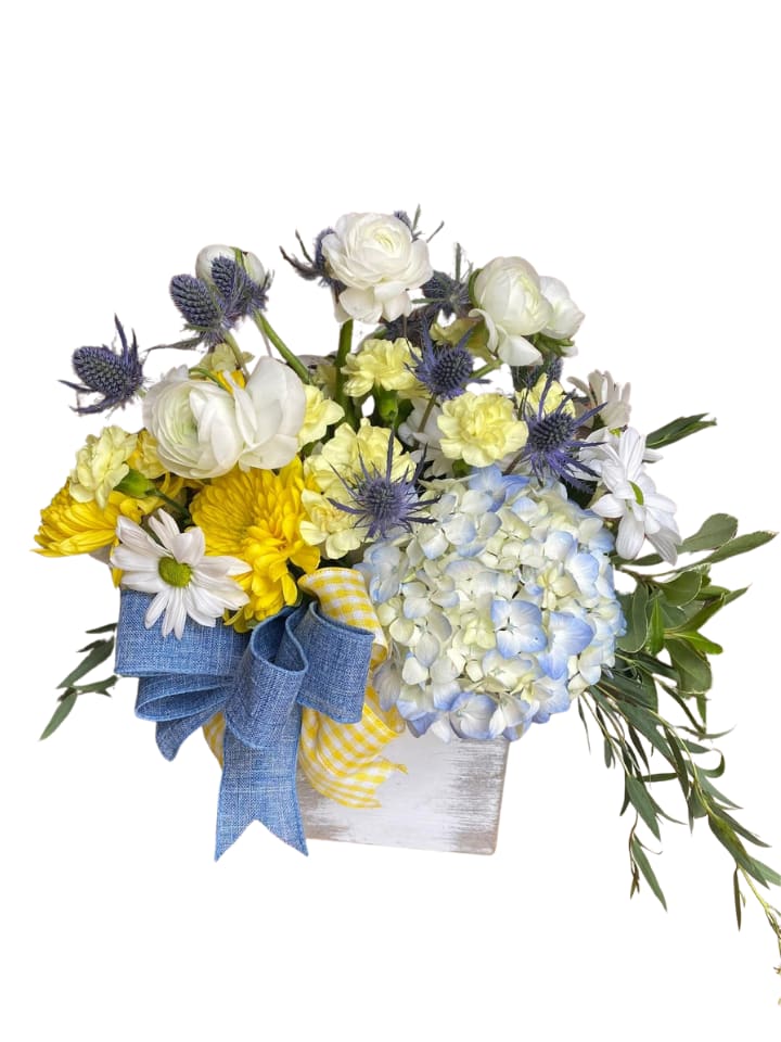 Foster’s Lullaby - A cheerful, cottage-style arrangement that feels like sunshine and soft breezes-perfect as a birthday bouquet, a get well gift, or a springtime surprise. The flower arrangement pairs fluffy blue hydrangeas with bright yellow chrysanthemums and carnations, plus white ranunculus and daisy-style blooms to create a warm, uplifting impression the person you're thinking of will notice the moment it arrives.  The composition sits in a whitewashed wooden box for a rustic, homey presentation and is finished with a large blue fabric bow layered with yellow gingham ribbon. Spiky lavender-blue accent flowers add texture and a slightly wild, natural touch alongside the softer shapes, giving the design depth and movement while keeping the overall look casual and welcoming.  This is the kind of bouquet that makes someone feel genuinely seen-cheerful without being fussy-ideal for mothers, friends, or colleagues celebrating small victories or needing a thoughtful lift. Box size and care: arranged to ship ready-to-display in its wooden box; keep blooms in a cool spot away from direct heat and refresh water if stems become visible.