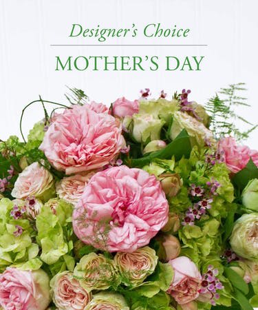 Lush bouquet of pink and cream roses with green hydrangeas for Mother’s Day