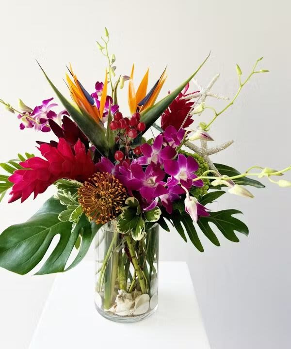 FLORIDA IN THE HOUSE - FLORIDA AT THE HOUSE, A COMBINATION OF THE TROPICALS OF OUR FLORIDA.