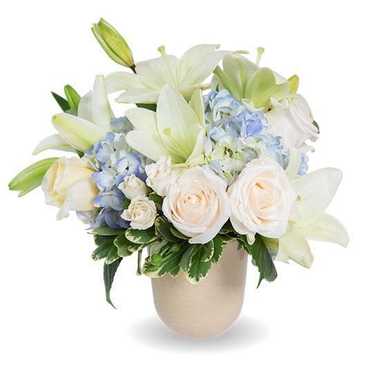 tribute blue skies - Elegant flowers convey heartfelt sympathy Soothing, beautiful blooms to honor obituary's spirit We support local florists by partnering with small businesses in the community Delivered with love, every arrangement arrives with compassion and care