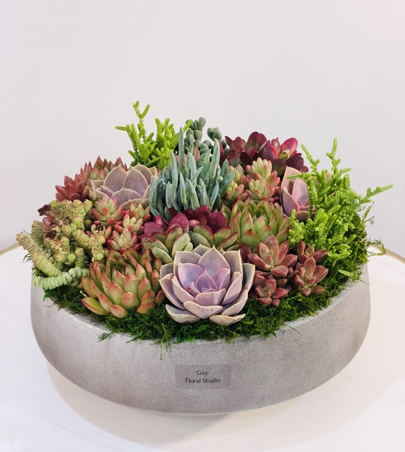  Succulent Garden Bowl - Bring a modern, elegant touch to any space with this handcrafted succulent garden by Guy Floral Studio. Designed in a premium concrete bowl, this lush arrangement features a curated mix of colorful succulents in soft greens, blush tones, deep reds, and silvery blues creating a natural yet sophisticated look that lasts. Measuring approximately 10 inches in height and 13 inches in width, this arrangement is perfect for coffee tables, offices, entryways, or as a unique long-lasting gift. Each piece is carefully arranged by our designers to ensure balance, texture, and visual impact. Succulents are known for their durability and low maintenance, making this design ideal for both plant lovers and beginners. The image shown reflects the Deluxe size, full and rich in texture. We proudly offer Same-Day Delivery for all orders placed on time. Same Day Succulent &amp; Plant Delivery in: West Hollywood, Beverly Hills, Bel Air, Beverly Grove, Hollywood, Hollywood Hills, Studio City, Sherman Oaks, Encino, Culver City, Santa Monica and surrounding Los Angeles areas. Order today from Guy Floral Studio and enjoy a modern botanical design delivered fresh to your door.