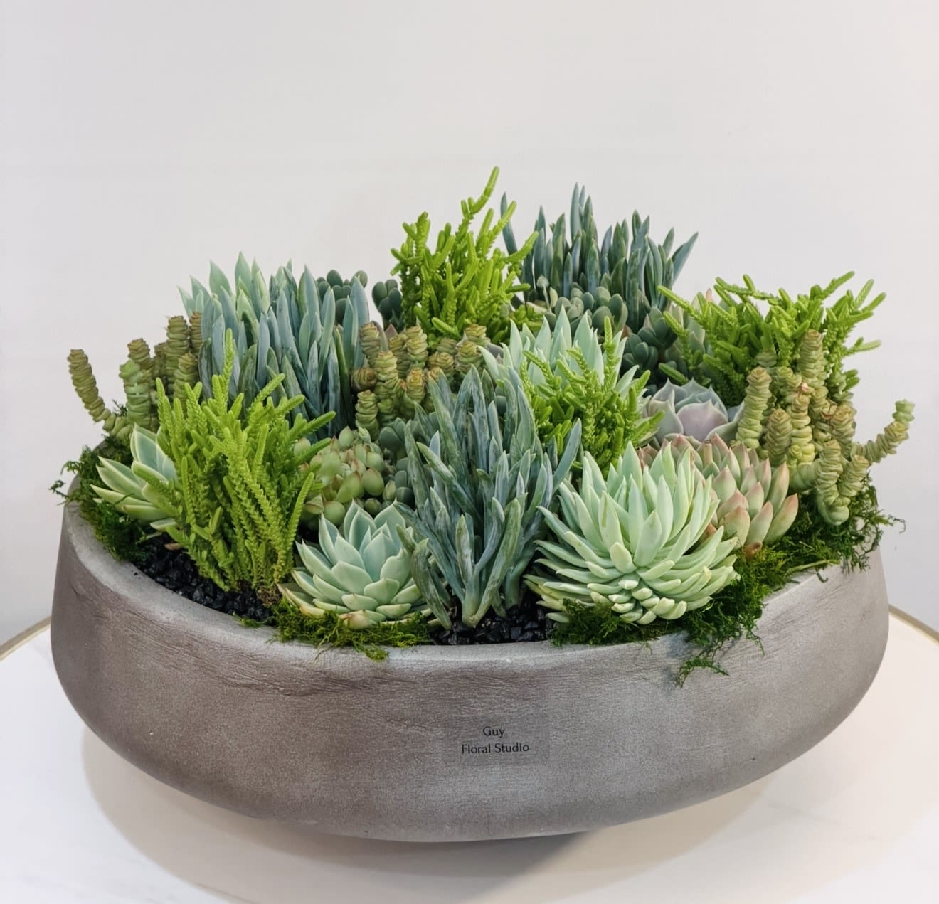 Modern Succulent Bowl - Make a bold yet elegant statement with this modern succulent arrangement, exclusively designed by Guy Floral Studio. Set in a premium concrete bowl, this piece showcases a curated mix of lush green and blue toned succulents, creating a clean, sophisticated, and contemporary look. With its larger size and balanced composition, this arrangement works beautifully as a centerpiece for dining tables, coffee tables, offices, and luxury interiors. The mix of sculptural succulents from soft rosettes to upright textures adds depth while maintaining a refined minimalist aesthetic. Approximate size: 11 inches height and 17 inches width. The image shown represents the Deluxe size, full and rich in texture. Succulents are long lasting and easy to care for, making this design perfect for both gifting and everyday décor. We proudly offer Same Day Delivery for all orders placed on time. Same Day Succulent Delivery in: West Hollywood, Beverly Hills, Bel Air, Beverly Grove, Hollywood, Hollywood Hills, Studio City, Sherman Oaks, Encino, Culver City, Santa Monica and surrounding Los Angeles areas. Order today from Guy Floral Studio and enjoy premium plant design with fast and reliable delivery.