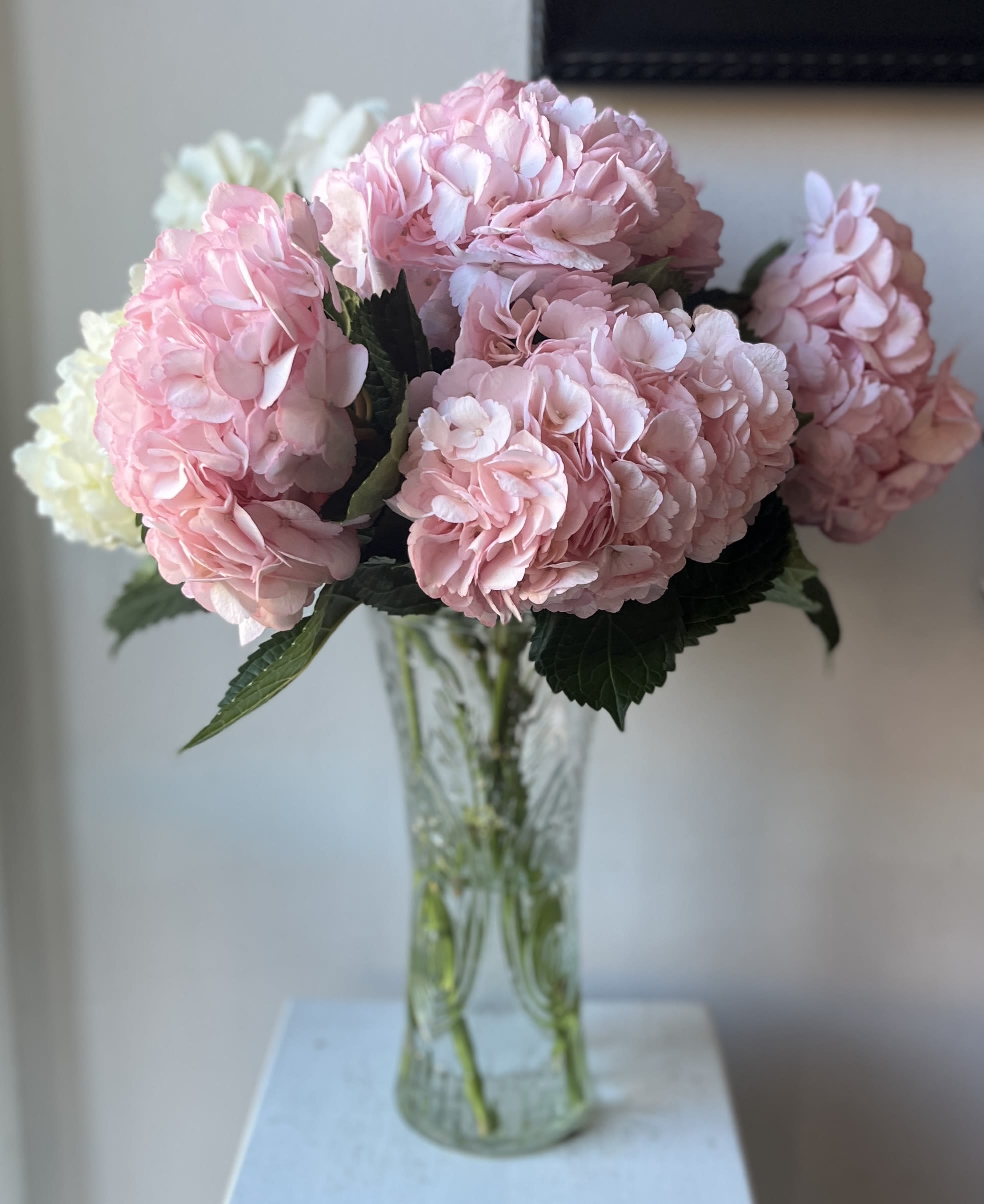 6 Lux Pink Hydrangeas Beautifully Wrapped  - Premium Pink Hydrangeas DOES NOT INCLUDE VASE in STANDARD -  delicately wrapped in pink tissue and kraft paper.