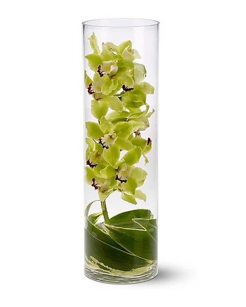 Tall glass cylinder vase with green cymbidium orchids submerged in water