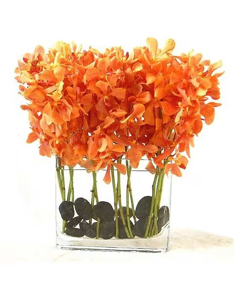 Mokara Orchid Cube - Orange Mokara Orchids beautifully arranged in a modern glass cube with river rocks. A minimum of 7days is required before the delivery dar 