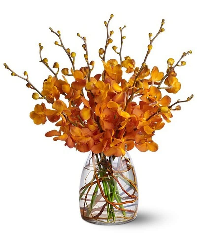 Orange orchid arrangement in a clear glass vase with visible stems and branches