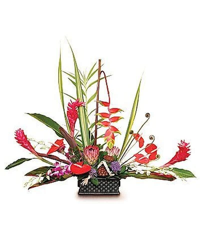 Tall tropical arrangement with red and pink blooms, protea, and orchids in a black woven rectangular container