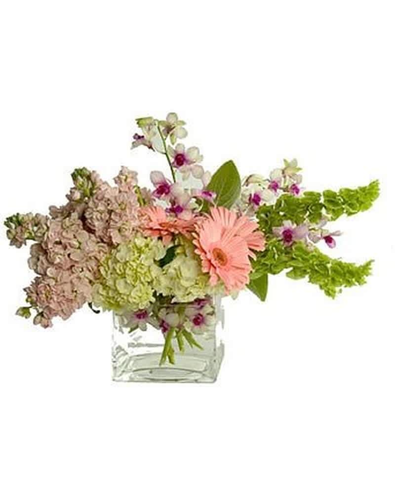 Low pastel arrangement with pink gerbera daisies, hydrangeas, orchids and green blooms in a clear glass cube vase