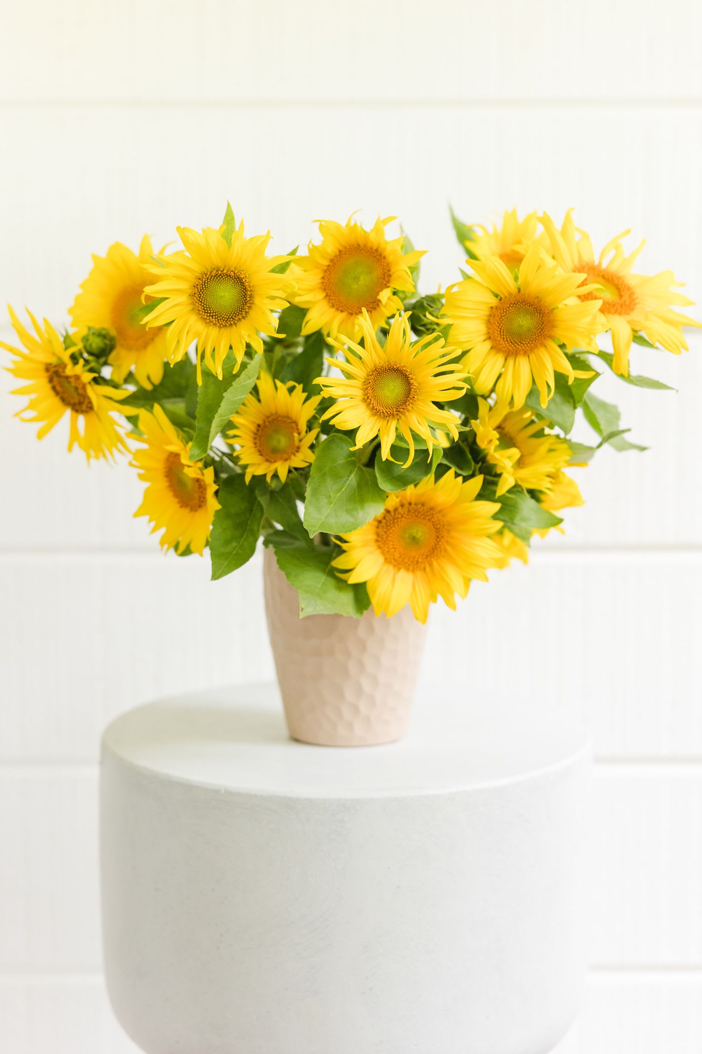 Bouquet of yellow sunflowers in a beige vase