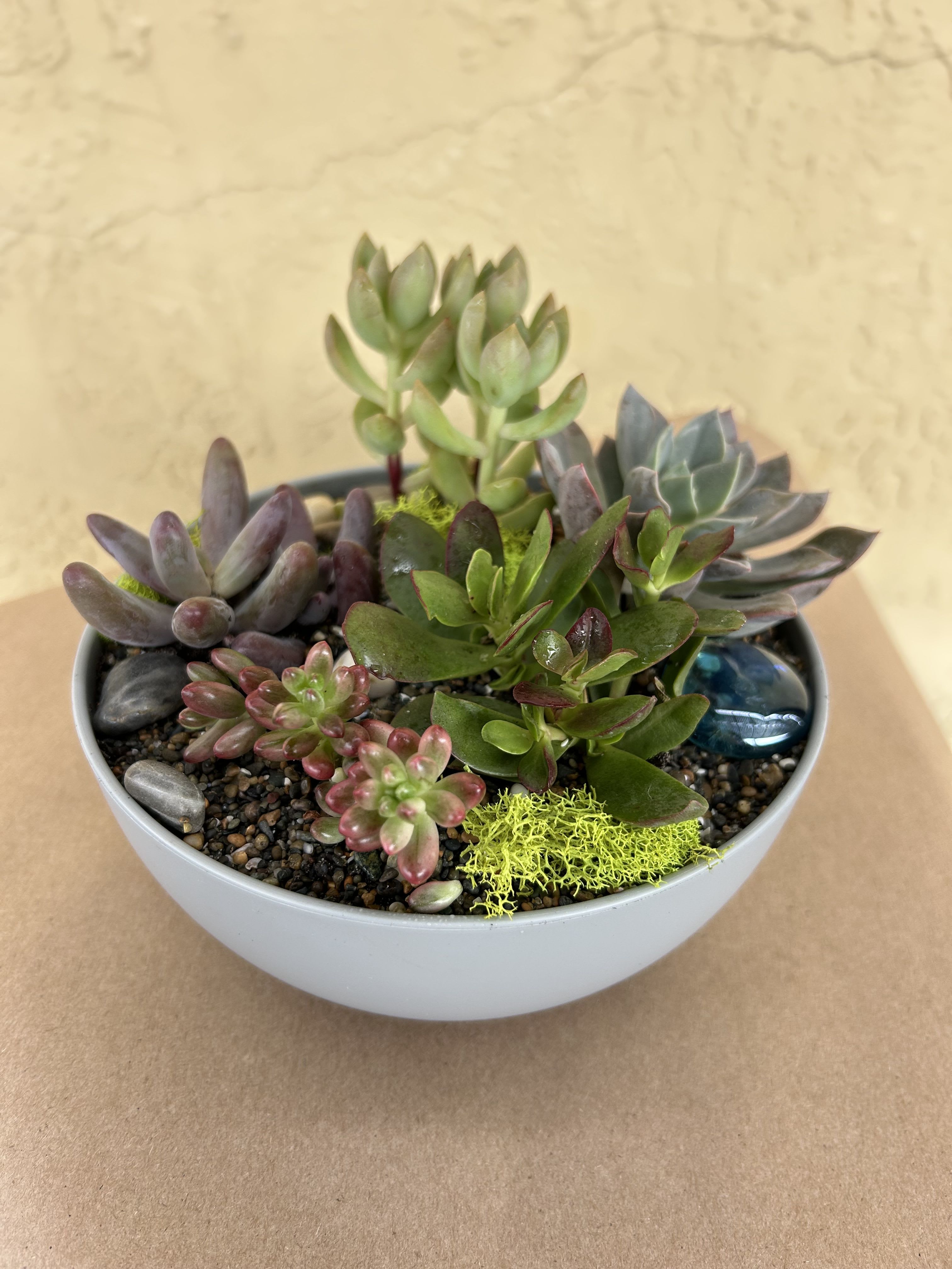 Succulent arrangement in a white bowl planter with decorative stones