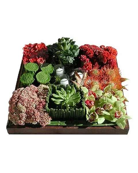 Exotic Inspirations - An exotic mix of fresh cut flowers arranged in sections in a flat wooden box. Includes cymbidium orchid blooms, roses, coxcomb, horsetail and seasonal exotics. Votive candles sit in the middle so it could be used as a centerpiece.
