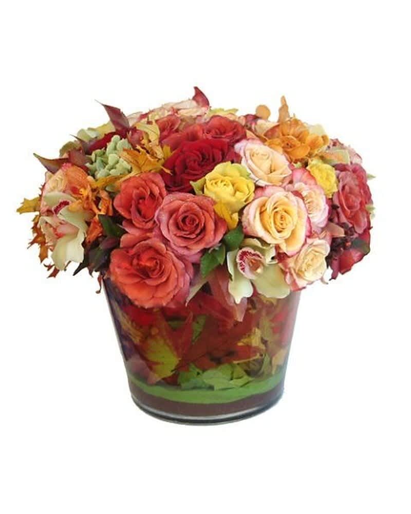 Low glass vase of mixed red, peach, yellow, and cream roses with orchids in a compact round arrangement