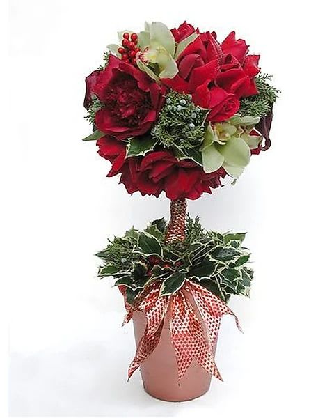 Winter Topiary - A single ball topiary made up of fresh flowers and Christmas greens for the holiday season. As shown with peonies, roses, cymbidium orchids, holly, berries and festive ribbon will dazzle someone this holiday season.