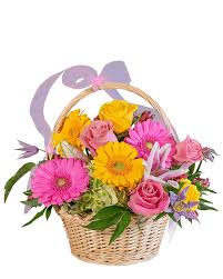 Everyday Bouquet - Brighten their life with bright blooms. 