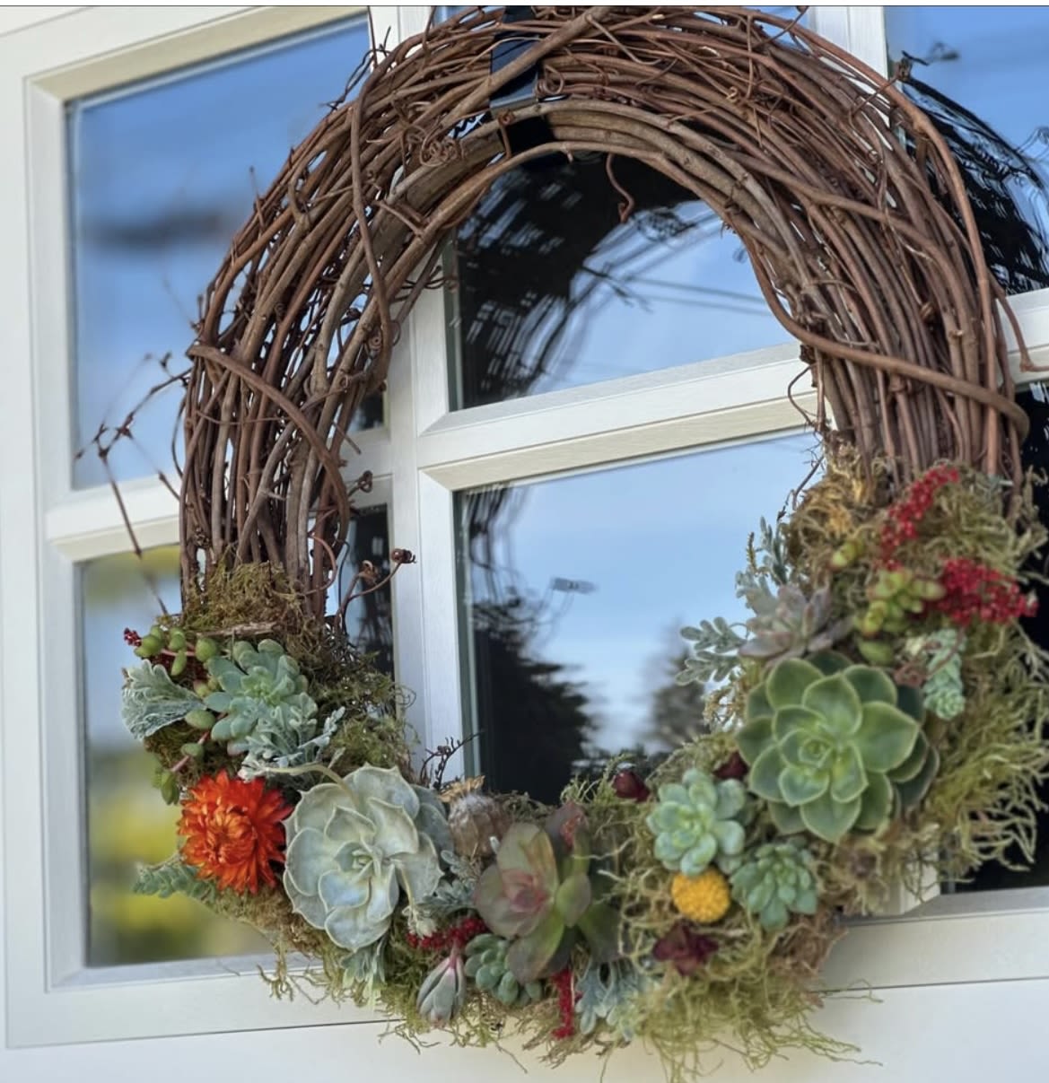 Sips n Stems Trail Distillery 5/17/26 - Come design your own Spring Succulent Grapevine Wreath. Step by Step instruction with all the materials and supplies including a craft cocktail . April 12th at Trail distillery 3PM . PLEASE NOTE YOU DO NOT NEED TO PICK ANYTHING UP PRIOR TO THE CLASS. (DESPITE THE WEBSITE TELLING YOU, IT IS AN IN-STORE PICK UP ) JUST SHOW UP AT THE VENUE BY 3PM. AND WE WILL BE READY FOR YOU! 