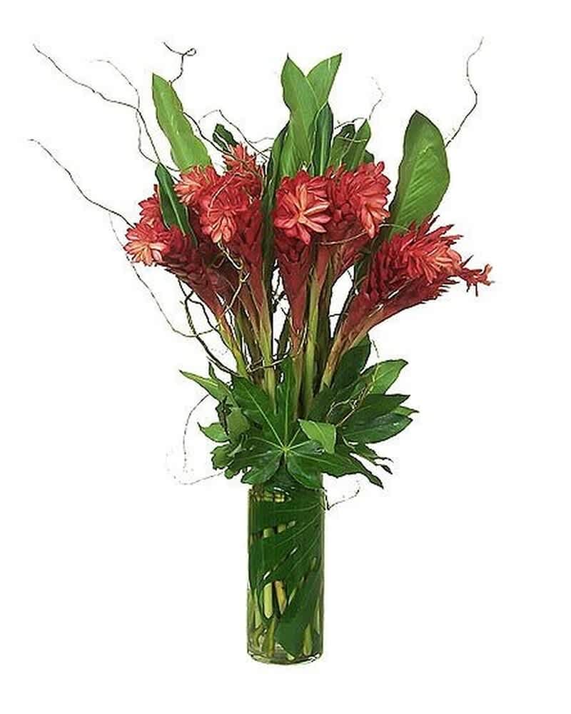 Tall arrangement of red tropical flowers with bold foliage in a clear glass cylinder vase