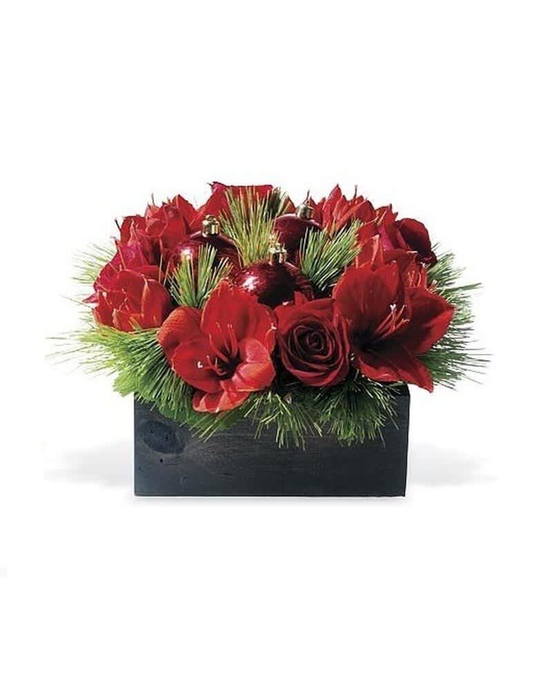 Low red rose and amaryllis arrangement with pine and ornaments in a dark wooden box