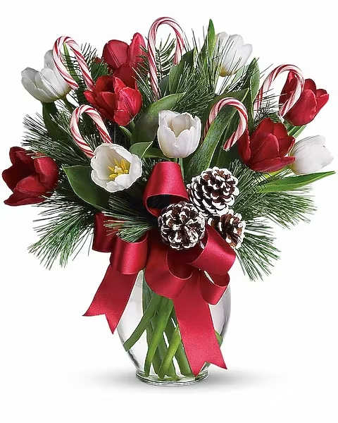 By Golly, It's Jolly - Nothing's sweeter than Christmas tulips - except maybe Christmas tulips with candy canes! This jolly arrangement is about as fun and festive as they come, mixing fresh red and white tulips with fragrant Douglas fir and white pine. Say Merry Christmas to a teacher, friend or loved one far away. Beautiful red and white tulips look radiant amongst Christmas greens of Douglas fir and white pine. Decorated with candy canes, frosted pinecones and red satin ribbon, and presented in a graceful clear glass vase.